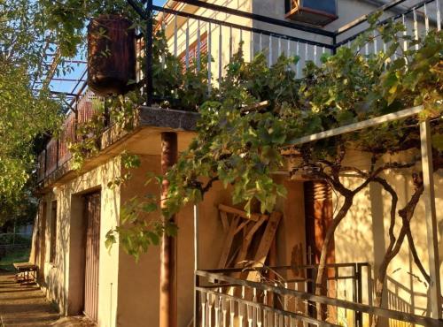 un bâtiment avec un arbre sur son côté dans l'établissement Holiday Home Marina, à Stari Grad