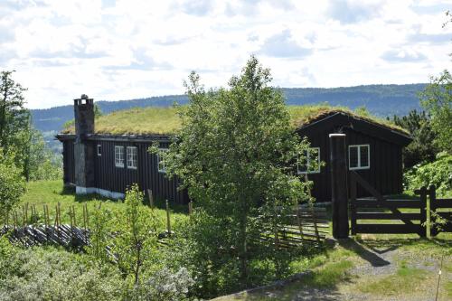 a cabin with a grass roof in a field at Skeikampen Booking in Svingvoll