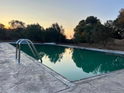 einem Pool mit einer Metallleiter neben dem Wasser in der Unterkunft Agreen Country House in Olbia