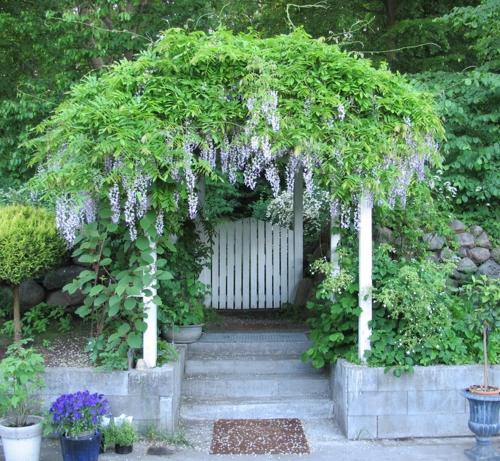 a garden with a pergola with purple flowers at Hotel Villa Brinkly in Snekkersten