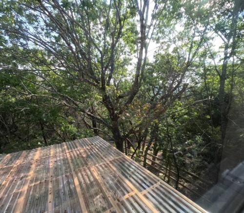 a roof of a house with trees in the background at Cozy Coop Casita - Lake Travis-Hot Tub-Tiny House in Austin