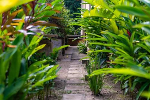 Un jardín fuera de Cuatro Lunas Hotel Boutique