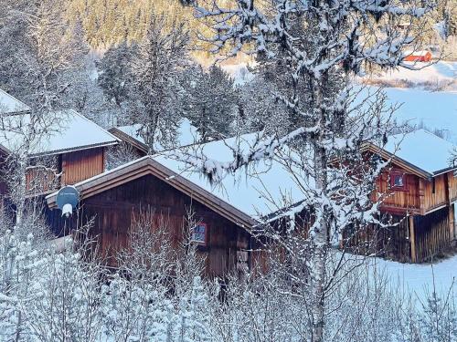 Holiday Home Måsaplassen през зимата