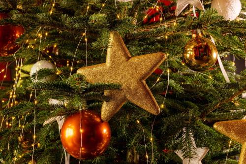 un arbre de Noël orné d'une étoile dans l'établissement Hotel Le Colombier Suites, à Colmar