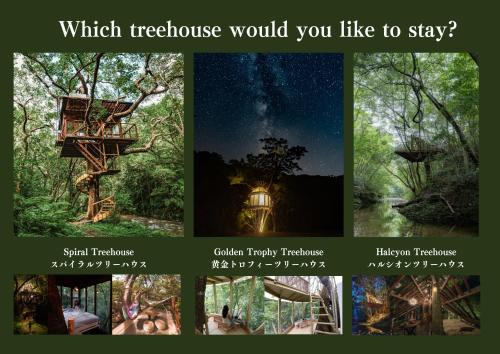 תמונה מהגלריה של Treeful Treehouse Sustainable Resort בנאגו