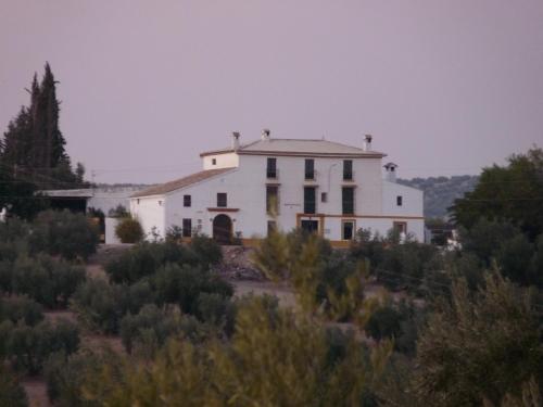 Edificio en el que se encuentra la casa o chalet