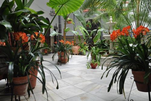 un invernadero lleno de plantas y flores en Hotel Casa de los Azulejos, en Córdoba