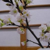 Wakaba Ryokan / Vacation STAY 29366, хотел в Саката