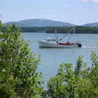 Narrows Too Camping Resort Cabin 6, viešbutis mieste Trentonas, netoliese – Hancock County-Bar Harbor oro uostas - BHB