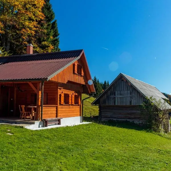 Holiday house Pokrovec - Bohinj, hotel u Bohinju