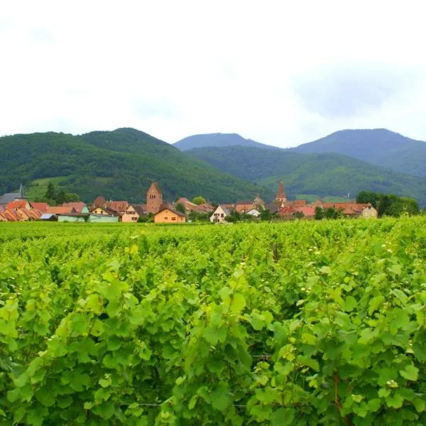 Chambre d'Hotes Le Vogelgarten, hotel v mestu Kaysersberg