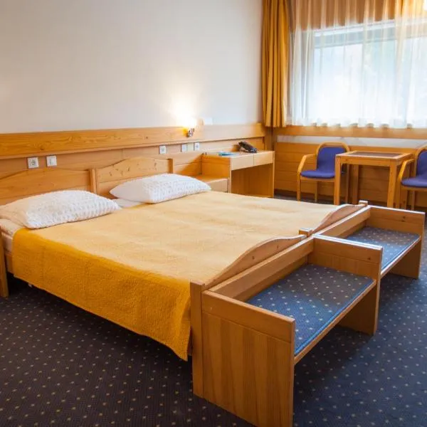 Viesnīca Hotel Špik pilsētā Kraņska Gora