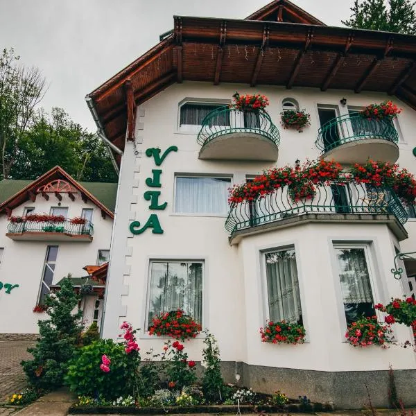 Szandy, Hotel in Sovata