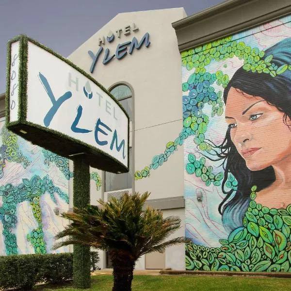 Hotel Ylem, hotell i Houston