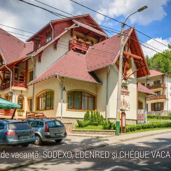 Hotel Szeifert, Hotel in Sovata