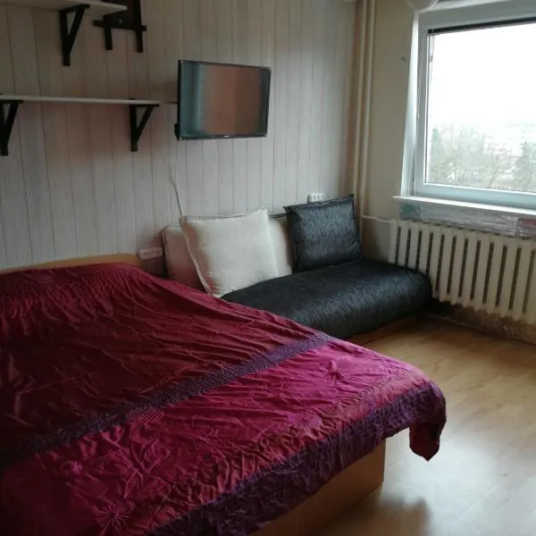 Flat, 1 room, study, viešbutis Panevėžyje