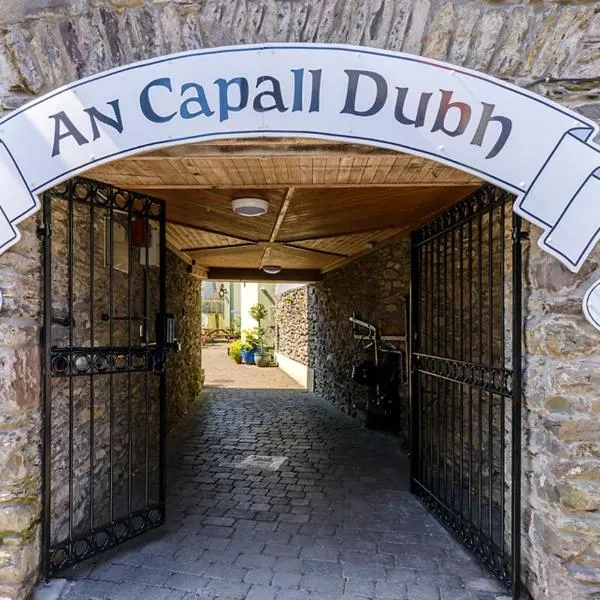 An Capall Dubh B&B Dingle, hotel en Dingle