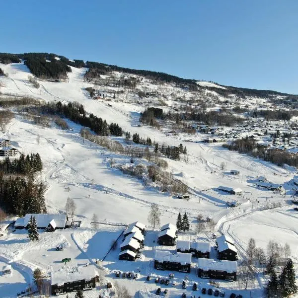 Hafjell Alpinlandsby Pluss, hotell i Øyer