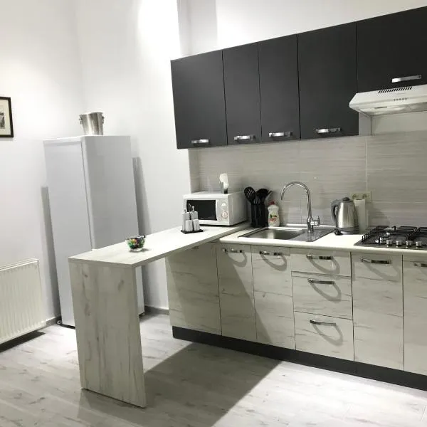 Apartment suite Mukachevo, отель в Карпатах