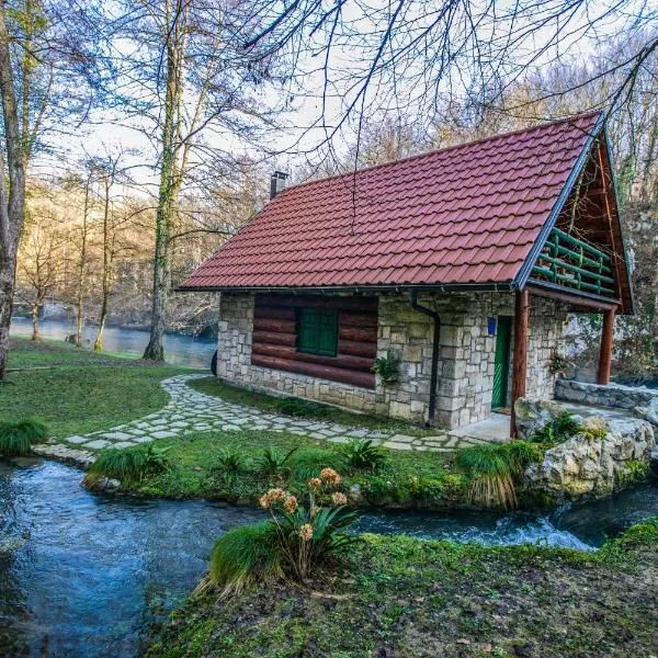 Bistrica Cottage, hotel u Ogulinu