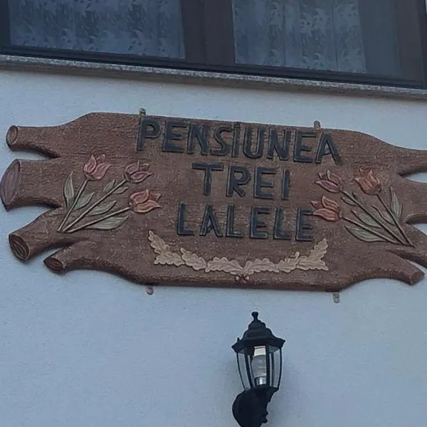 Pensiunea Trei Lalele, hotel in Vişeu de Sus