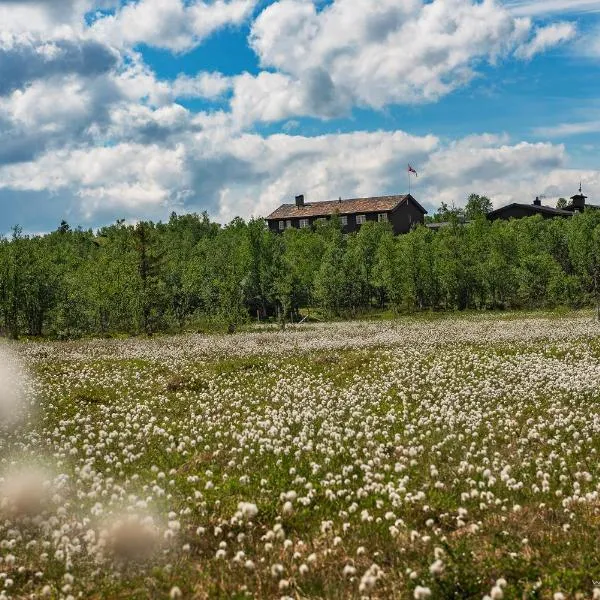 Venabu Fjellhotell, hotel i Venabygd