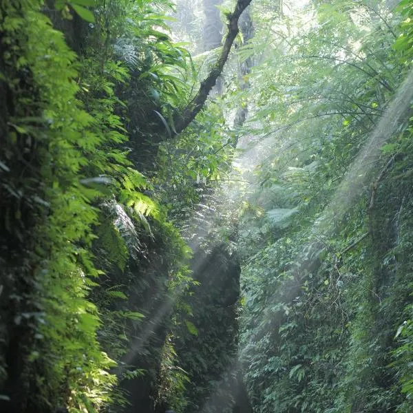 Pramana Giri Kusuma, hotel en Tegalalang