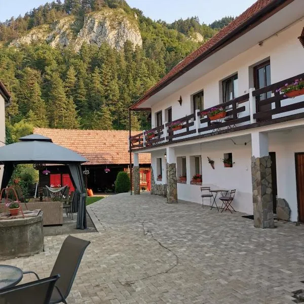 Guest House Piatra Craiului, готель у місті Моєчу-де-Сус