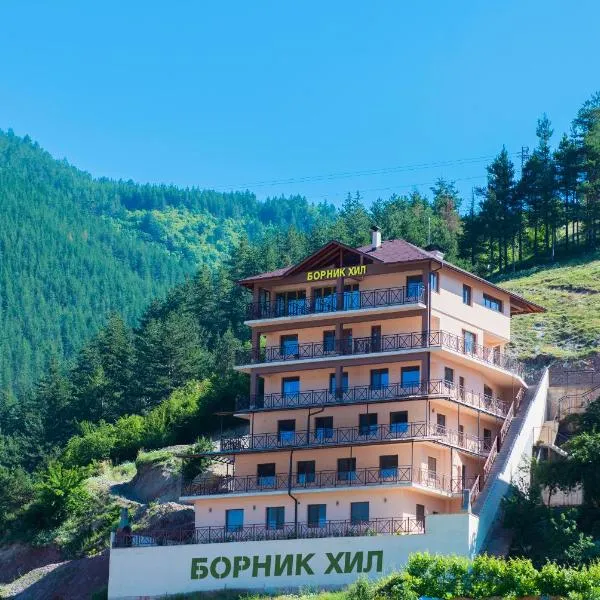 Борник Хил / Bornik Hill: Lyaskovo şehrinde bir otel