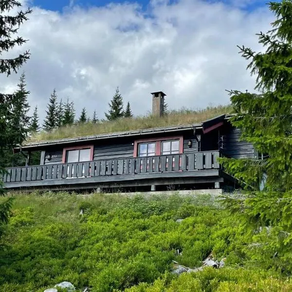 Centrally located cottage at Sjusjøen ski center, hotell i Sjusjøen