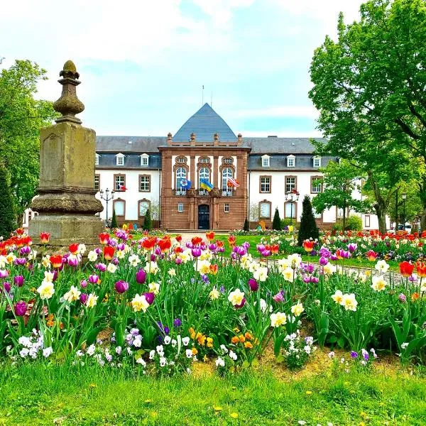 Charmant studio à Haguenau, à 25mn de Strasbourg, hotel em Haguenau