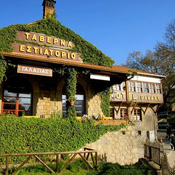 Hotel Galaxias, viešbutis Metsovo