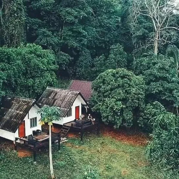 Jungle guest house, отель в Мэхонгсоне