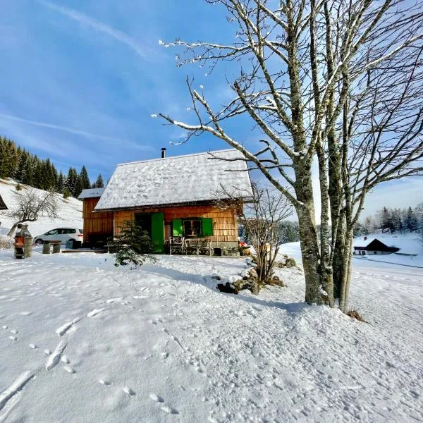 Chalet Hike&Bike above Bohinj valley, hotel u Bohinju