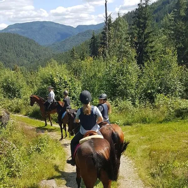 River Run Ranch - Telemark, hotell i Vrådal