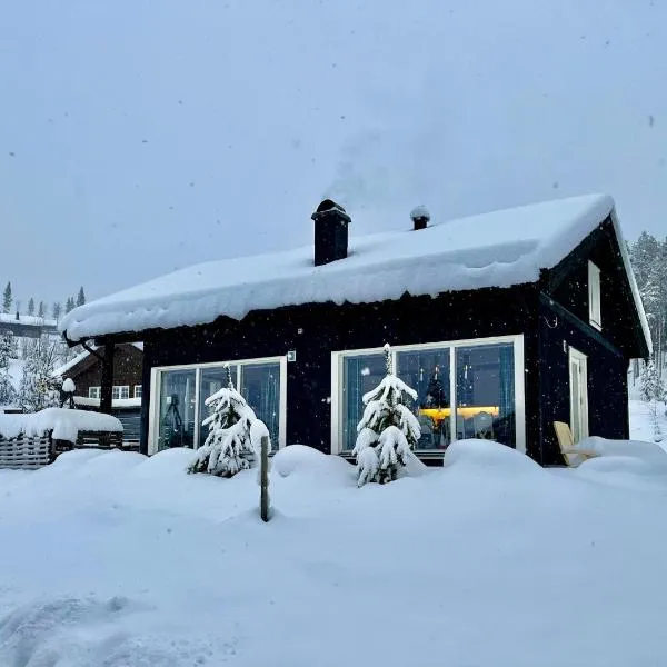 Great cabin in Hemsedal wifi golf ski eldorado, hotell i Gol