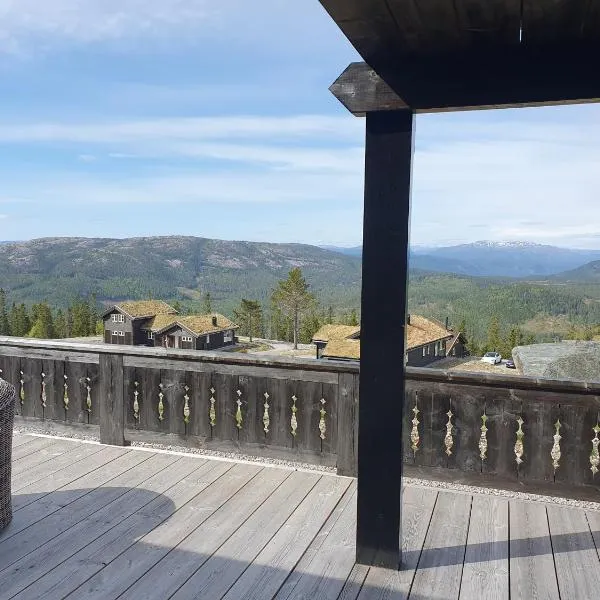 Wonderful cabin with amazing mountain - view, hotell i Bø