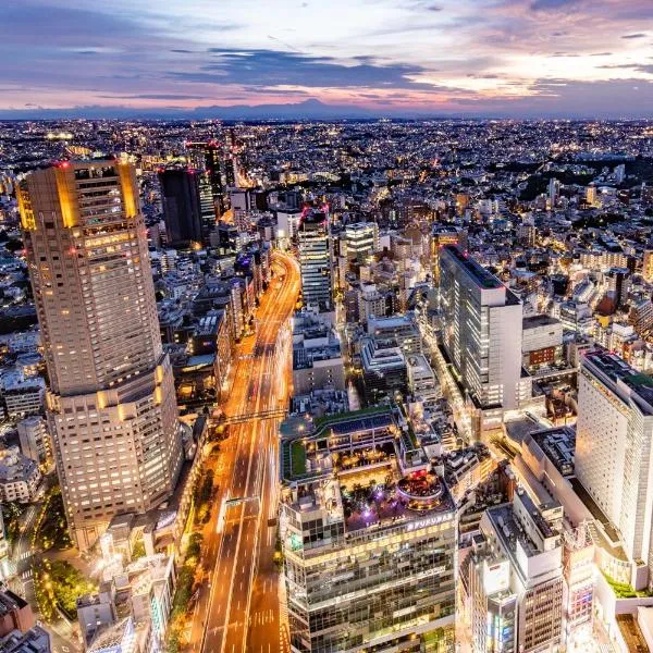 Cerulean Tower Tokyu Hotel, A Pan Pacific Partner Hotel, hotel en Tokio