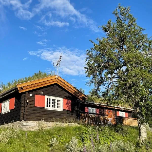 Elveseter - log cabin with an amazing view, hotell på Ringebu