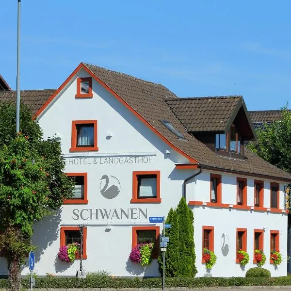 Hotel Schwanen – hotel w mieście Kehl