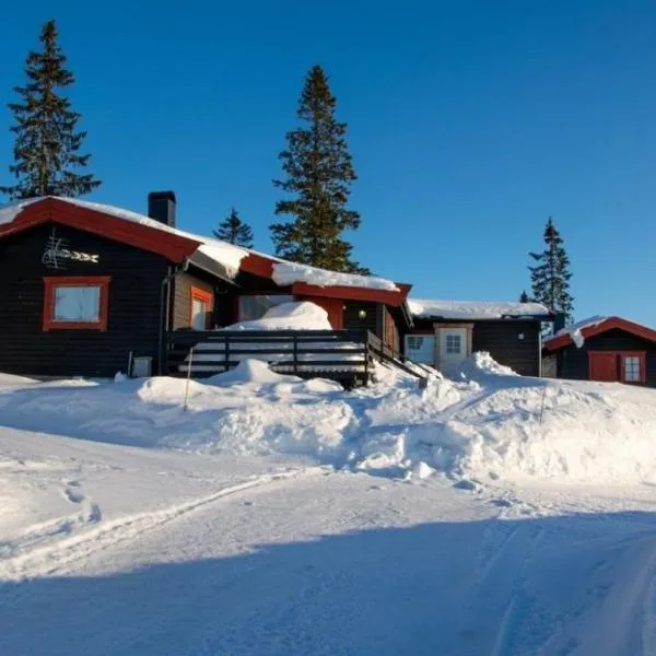 Rustic cabin on Lake Sjusjøen with a lovely view, hotell i Sjusjøen