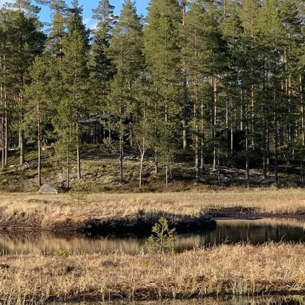 Velkommen til Finnskogen og minihytta Rimbila, hotell på Kongsvinger