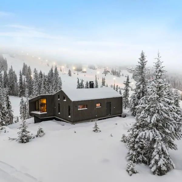 Ski-in-out hytte på Kvitfjell, hotell på Ringebu