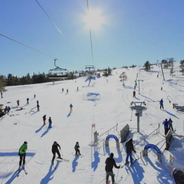 Nybygd funkishytte med badstue og jacuzzi, golf, slalom, hotell i Vrådal