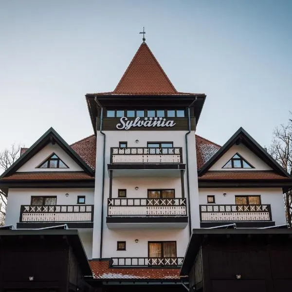 Pensiunea Sylvania, Hotel in Sovata