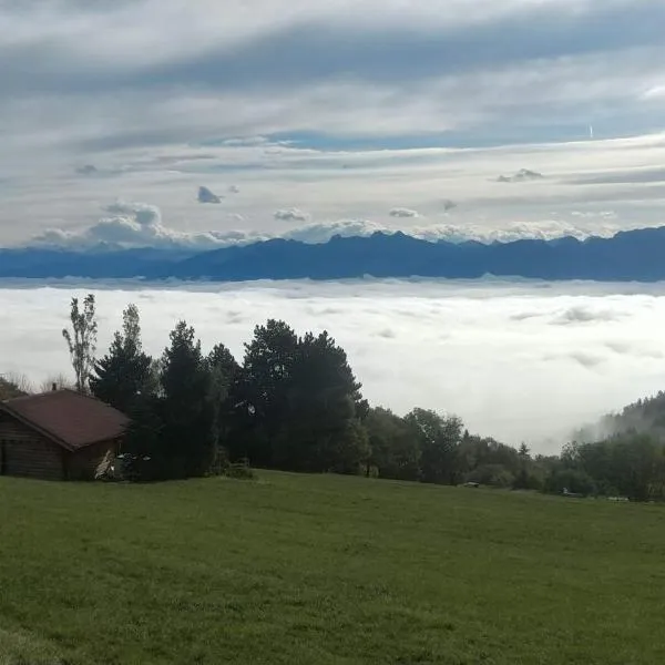 Le Petit Chalet du haut du Salève, hotel en Annecy