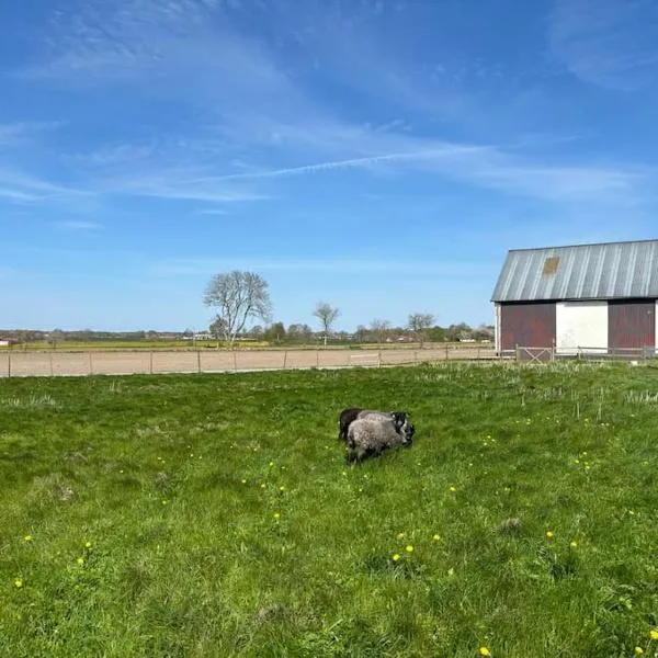 Österlen Oasis, hotel v mestu Gärsnäs