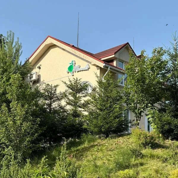 Panna Hotel, hotel in Polyana