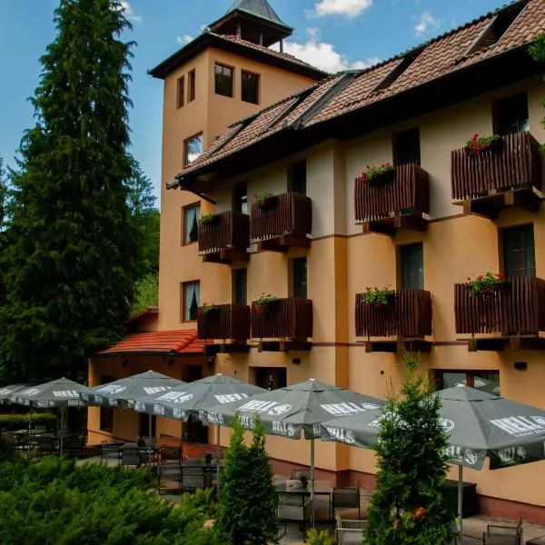 Vila Parc, Hotel in Sovata