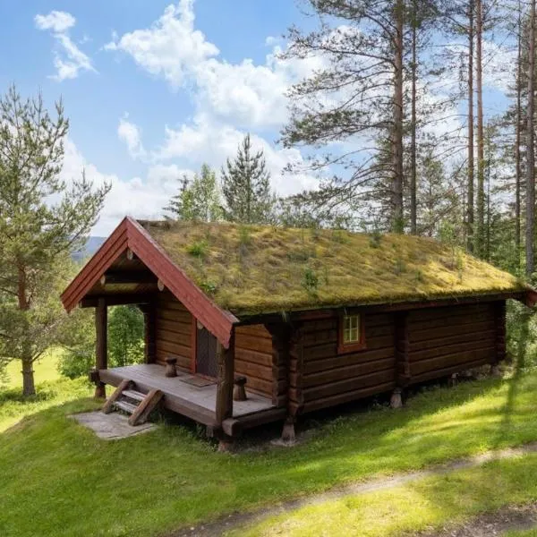 Skogcamping, hotell i Elverum